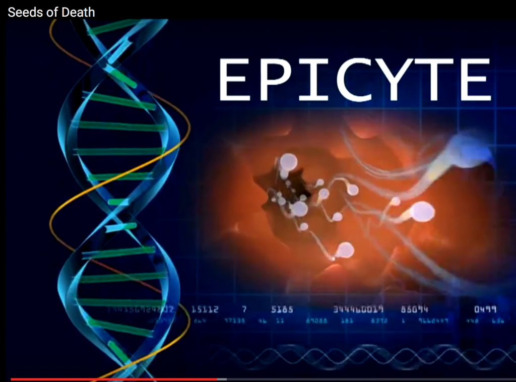 Epicyte gene has antibodies to sperm causing sterility